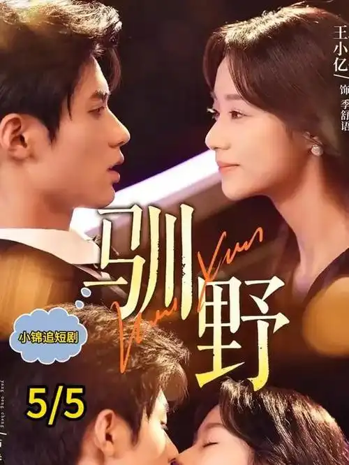白塔之下 悬疑剧集更新